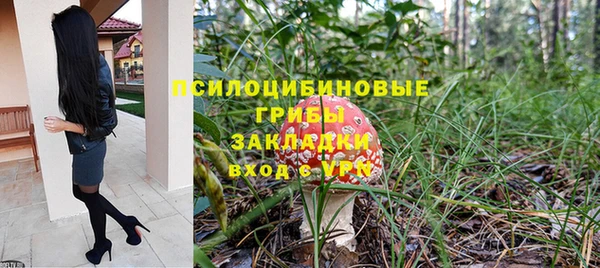 МДПВ Новозыбков