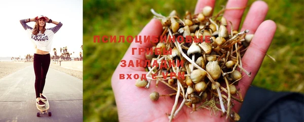 скорость Новокубанск