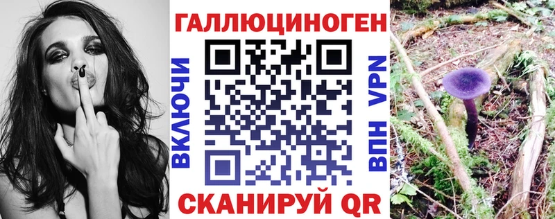 что такое   Владимир  Псилоцибиновые грибы мухоморы 