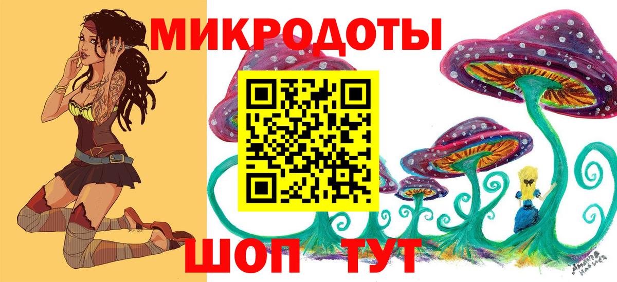 Псилоцибиновые грибы Psilocybe Владимир