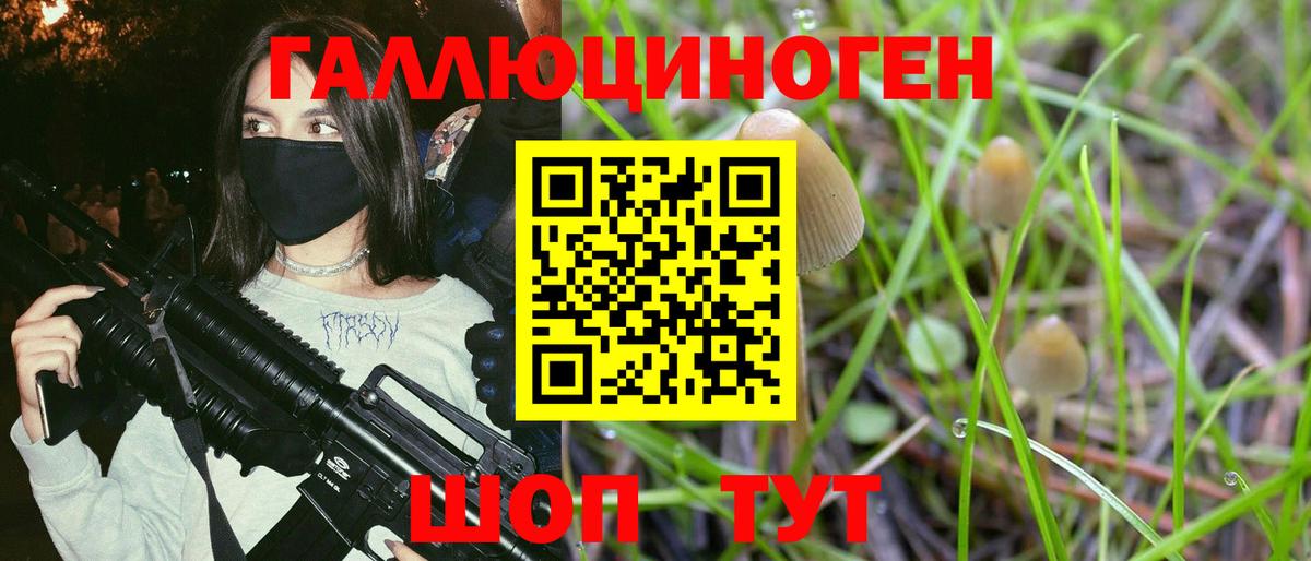 Галлюциногенные грибы Cubensis  Псилоцибиновые грибы мицелий  Владимир 