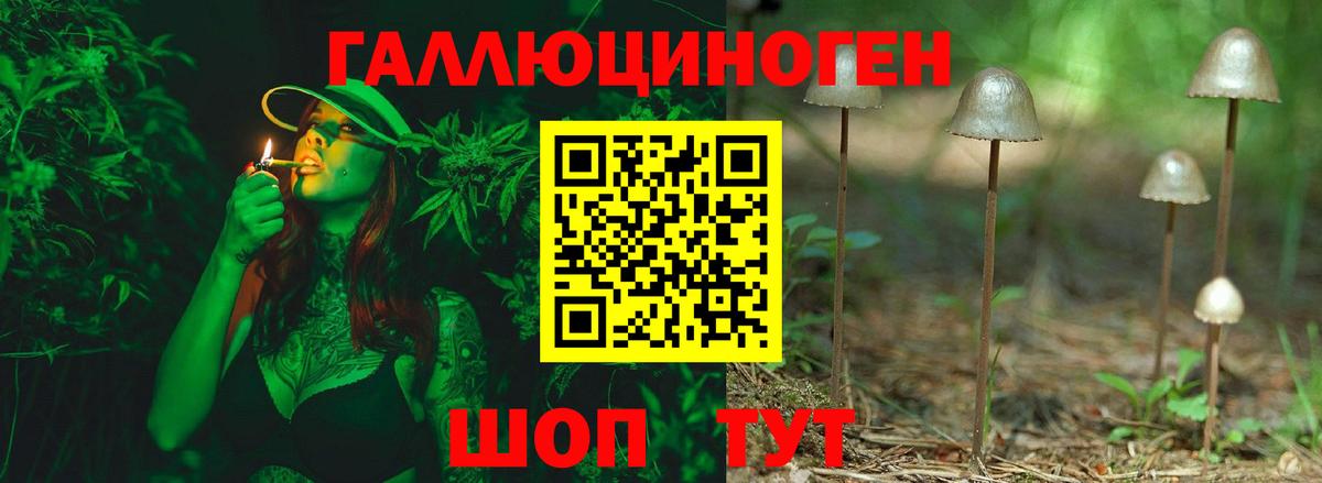 Галлюциногенные грибы Psilocybine cubensis  хочу наркоту  Вход с VPN  Владимир  Псилоцибиновые грибы мицелий 