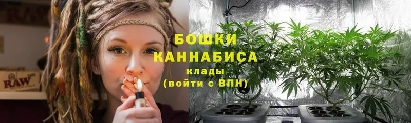 дарнет шоп  Владимир  Бошки Шишки ГИДРОПОН 